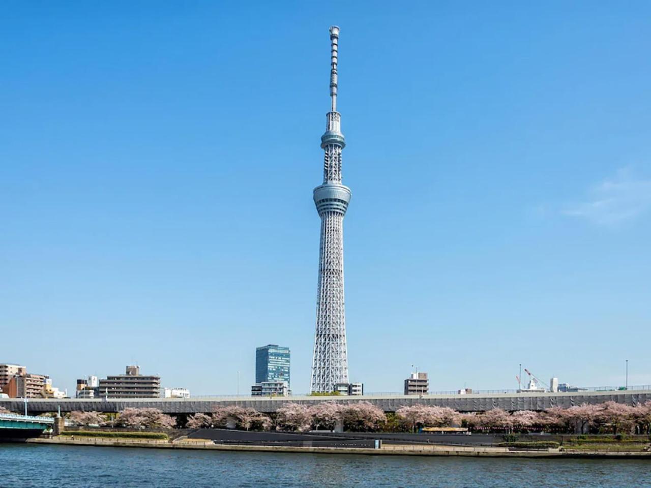 Anshin Oyado Shinbashi Ekimaeten طوكيو المظهر الخارجي الصورة